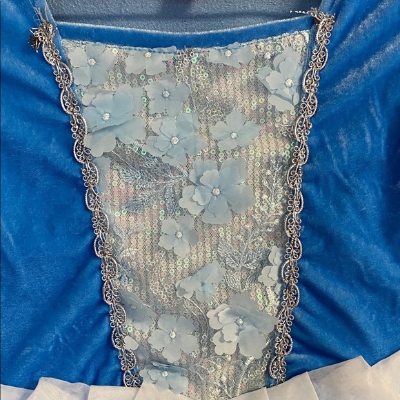 Cinderella dress - Picture 5 of 6